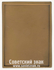 РЕВЕРС: Плакета «Святой благоверный великий князь Александр Невский» № 13209а