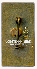 РЕВЕРС: Знак «Минск. Монумент Победы. 1941-1945» № 9869б