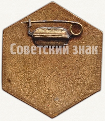 РЕВЕРС: Знак ««СоюзРеактив» СССР» № 6909а