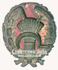Знак военнослужащего продовольственно-ревизионным отрядам РККА. Тип 2