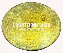 РЕВЕРС: Знак «20 лет электродепо «Печатники»» № 17466а