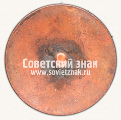 РЕВЕРС: Членский знак ДСО «Пролетарская победа» № 12406б