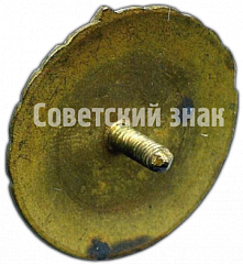 РЕВЕРС: Знак «Третий разряд. Женский Волейбол» № 4642а