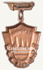РЕВЕРС: Знак «Чемпион по баскетболу. Рига. 1955» № 12055а