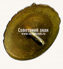 РЕВЕРС: Знак «Второй разряд. Женский Волейбол» № 4641б