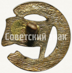 РЕВЕРС: Членский знак ДСО «Строитель» № 5209а