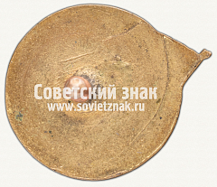 РЕВЕРС: Членский знак ДСО «Металлург». Тип 2 № 12407а