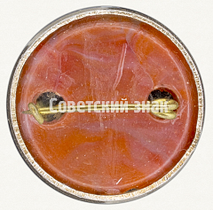 РЕВЕРС: Знак с изображением «маленького» В.Ленина № 7879а