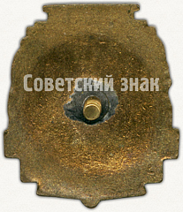 РЕВЕРС: Знак «Чемпион ДСШ (Детской спортивной школы). Минска» № 5028а