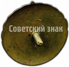 РЕВЕРС: Знак «Первый разряд. Женский Волейбол» № 4640а