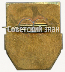 РЕВЕРС: Знак «Дружинник (Malevlane)» № 8469б