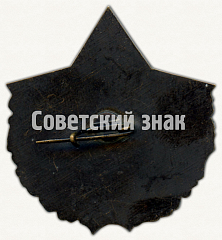РЕВЕРС: Знак «40 лет войсковой части № 56178» № 9164а