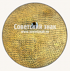 РЕВЕРС: Знак «﻿30 лет элетродепо «Варшавское». Московский Метрополитен. 1983-2013» № 17515а