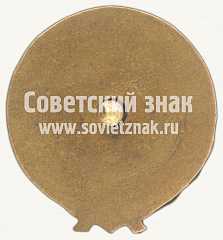 РЕВЕРС: Чемпионский знак комплекса ГТО. Готов к труду и обороне № 10220а