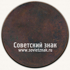 РЕВЕРС: Настольная медаль «Кронштадт» № 12970а