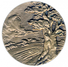 Настольная медаль «150 лет со дня рождения Л.Н.Толстого»