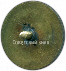 РЕВЕРС: Знак первенства СССР по фигурному катанию. 1938 № 4334а