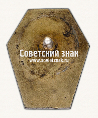 РЕВЕРС: Знак «ВЦСПС. 1917-1922» № 17199а