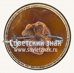 РЕВЕРС: Знак «Советский летчик-космонавт В.М.Комаров» № 11289а