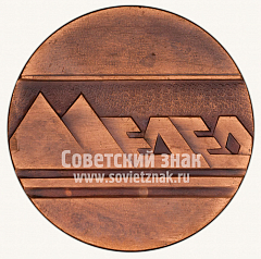 РЕВЕРС: Настольная медаль «Чемпионат мира по конькобежному спорту. Мужчины. Алма-ата. 1988» № 10621а